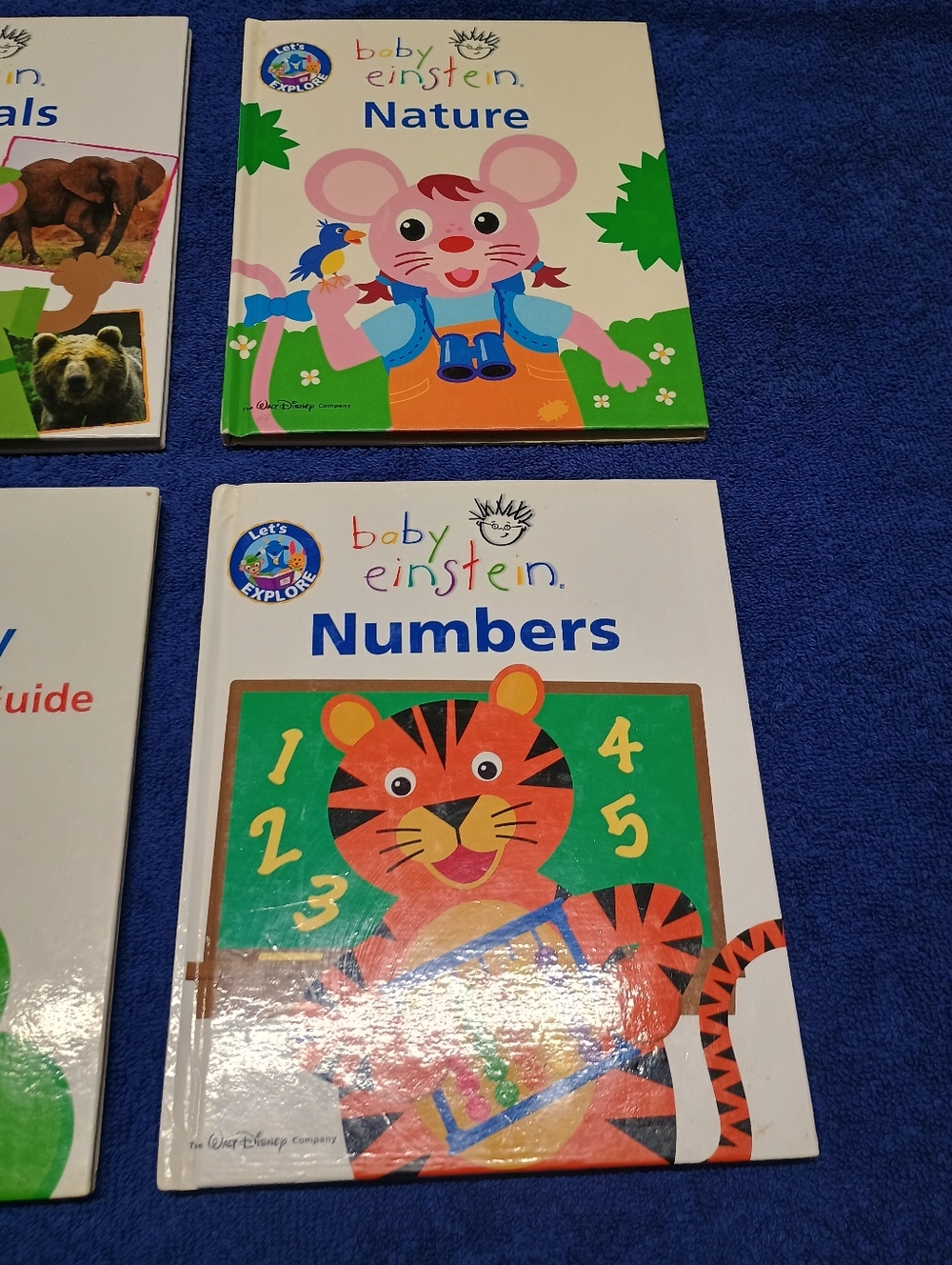 Disney Baby Einstein Numbers Board Book - White/Green Cover - Picture 6 of 6